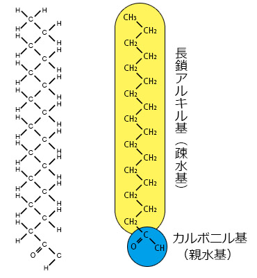 エピラム処理に関するまとめ 後編 Neezの時計ブログ